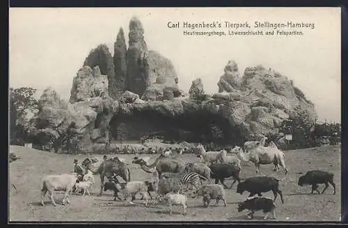 AK Hamburg-Stellingen, Hagenbeck`s Tierpark, Heifressergehege, Löwenschlucht und Felspartien