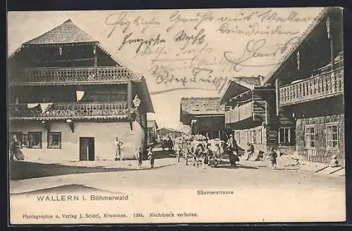 AK Wallern i. B., Partie an der Säumerstrasse mit Ochsen und Häusern