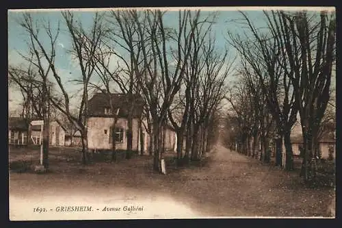 AK Griesheim, l`avenue Galliéni en hiver
