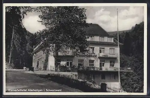 AK Allerheiligen / Schwarzwald, Wasserfallhotel Lierbach