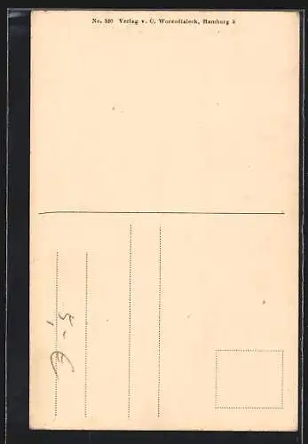 AK Alt-Hamburg, Haus in der Steinstrasse No. 83-85, von anno 1568