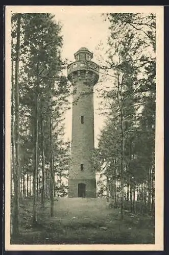 AK Kronach / Oberfranken, Lukas Kranach-Turm