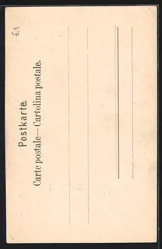 AK Meiringen, Hotel Reichenbachfall