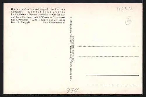 AK Horn / Untersee, Ortsansicht mit Seeblick