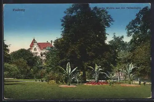 AK Freiberg / Sachsen, Motive aus den Parkanlagen