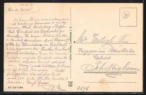 AK Lautenbach / Renchthal, Panorama