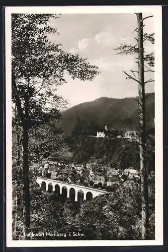 AK Hornberg / Schwarzwald, Blick auf den Luftkurort