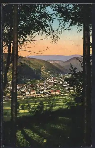 AK Oppenau, Blick von einer Anhöhe auf den Ort