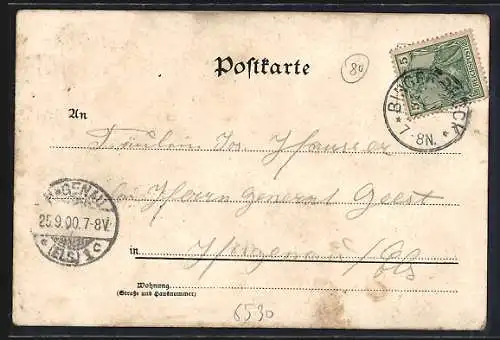 Lithographie Bingerbrück, Burg Klopp, Bahnhof, Mäuseturm, Nationaldenkmal Niederwald, Panorama