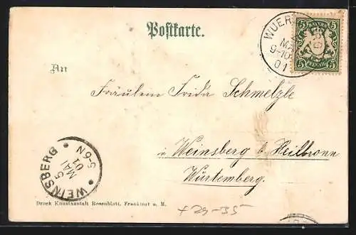 Passepartout-Lithographie Würzburg, Ansichten auf Kleeblatt, Dom, Festung, Kgl. Residenz