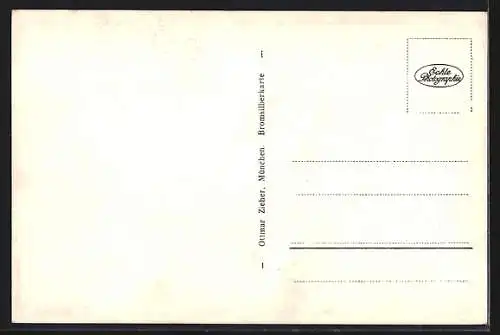 AK Lofer, Strassenleben mit Autos und Geschäften