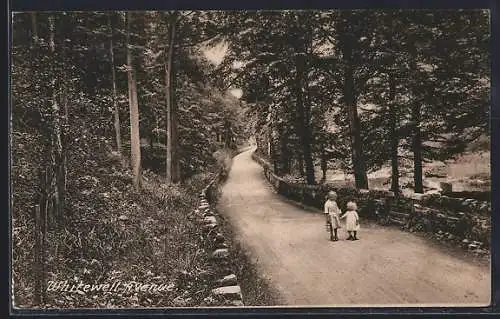 AK Whitewell, Avenue