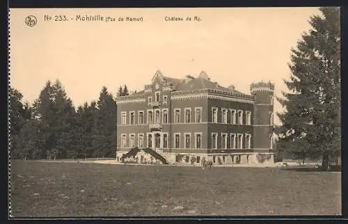 AK Mohiville /Pce. de Namur, Château de Ry
