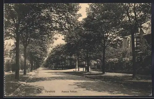 AK Verviers, Avenue Peltzer