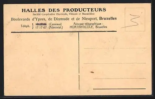 AK Bruxelles, Halles des Producteurs, Société Coopérative Horticole, Viticole et Maraîchière