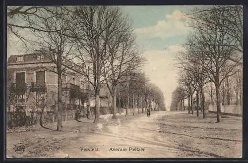 AK Verviers, Avenue Peltzer