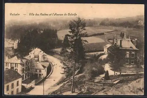 AK Vielsalm, Villa desRoches et l`Avenue de Golonfa