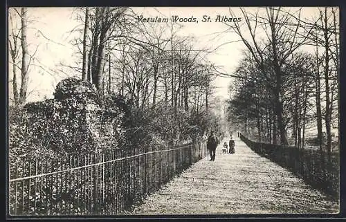 AK St. Albans, Verulam Woods