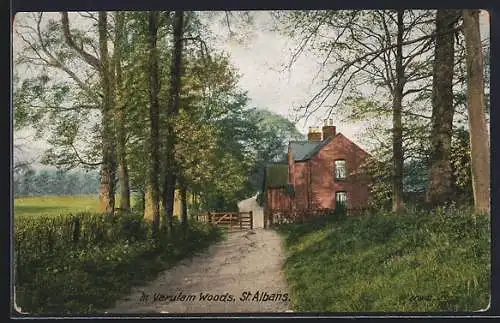 AK St. Albans, In Verulam Woods