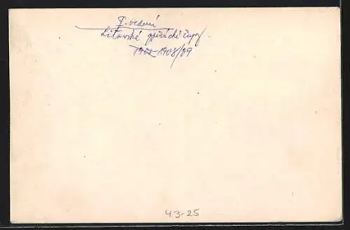 AK I. Leitung des Leitha-Sängegaues 1908 /09