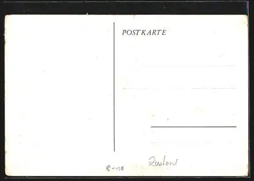 AK Zirkus Rebernigg, Dompteur inmitten seiner Löwengruppe
