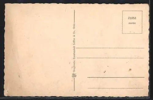 AK Hof in Bayern, Totalansicht vom Ort