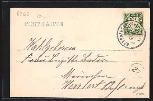 AK Burghausen / Salzach, Gesamtansicht mit Wöhrsee, Kirchen und Kgl. Burg