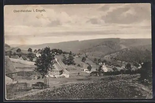 AK Ober-Holzhau, Sommerfrische an der Freiberg-Moldauer Bahn