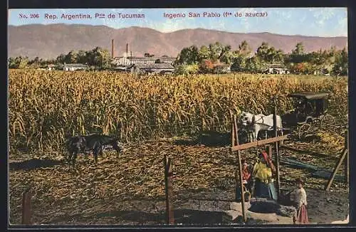 AK Tucuman, Ingenio San Pablo