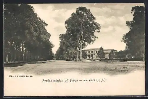 AK La Plata, Avenida principal del Bosque