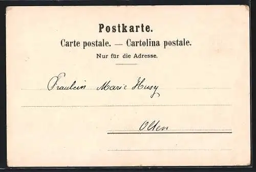 Lithographie Basel, Wettsteinbrücke und Münster