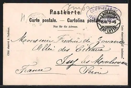 Lithographie Lausanne, Totalansicht, Château