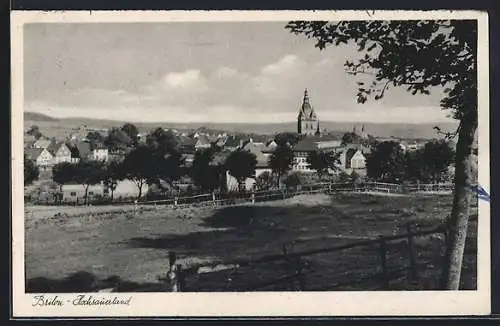 AK Brilon /Hochsauerland, Ortsansicht von einer Koppel aus
