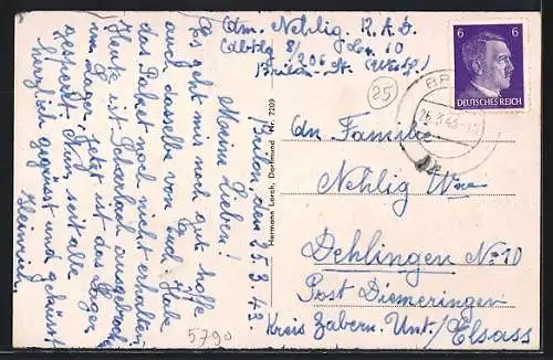 AK Brilon /Hochsauerland, Ortsansicht von einer Koppel aus