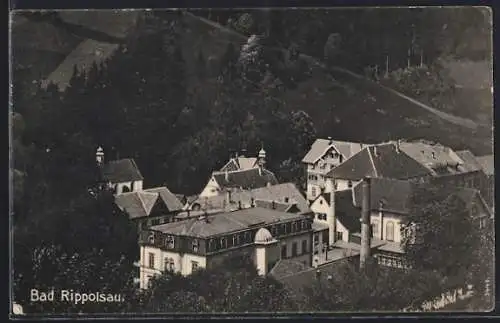 AK Bad Rippoldsau, Ortsansicht