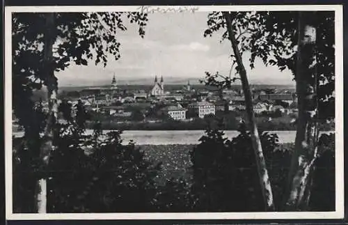 AK Kremsier / Kromcriz, Blick durch die Bäume zum Ort mit Kirchen
