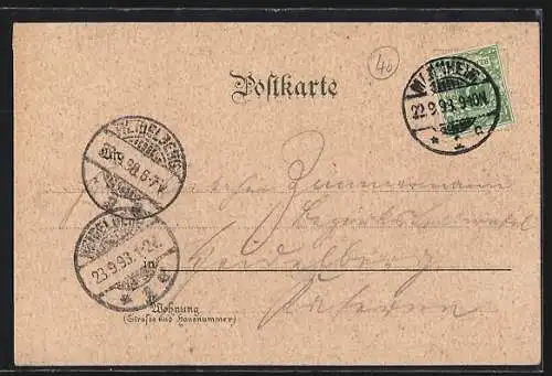 Lithographie Mannheim, Stadtparksee