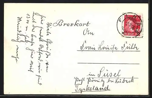 AK Finse, Panoramaansicht