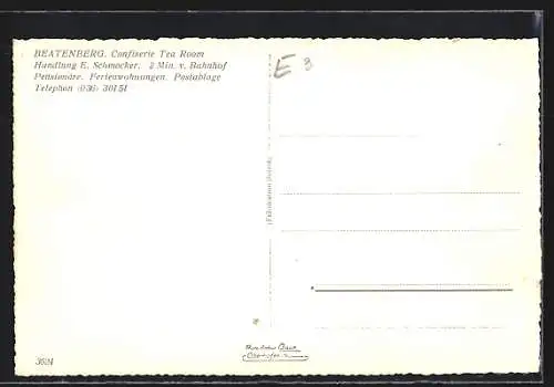 AK Beatenberg, Blick auf Pension, Cafe und Handlung E. Schmocker