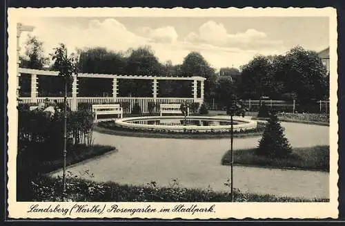 AK Landsberg / Gorzow Wlkp, Rosengarten im Stadtpark