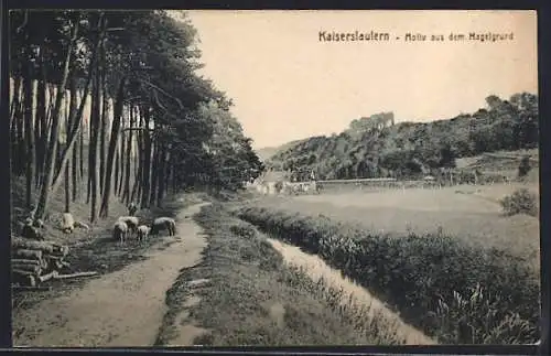 AK Kaiserslautern, Motiv aus dem Hagelgrund