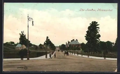 AK Newmarket, The Avenue