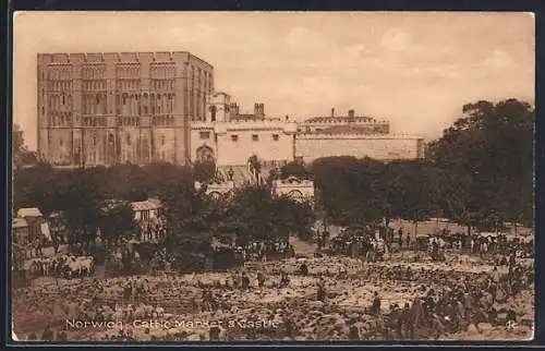 AK Norwich, Cattle Market & Castle