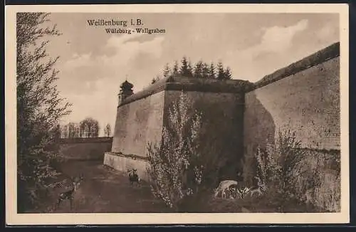 AK Weissenburg / Bayern, Wülzburg, Wallgraben