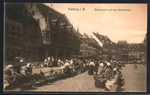 AK Freiburg / Breisgau, Wochenmarkt auf dem Münsterplatz