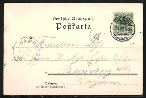 Künstler-AK Heinrich Kley: Freiburg, Panorama mit Kapelle
