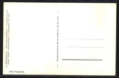 AK Lindau i. B., Panorama mit Zeppelin