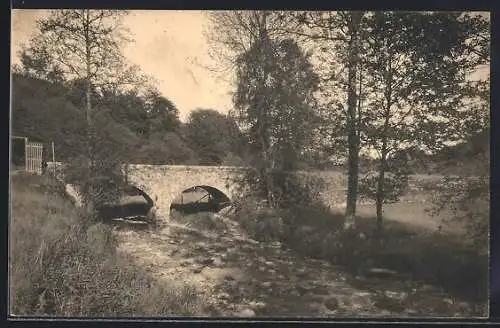 AK Ste Adeline, La l`homme