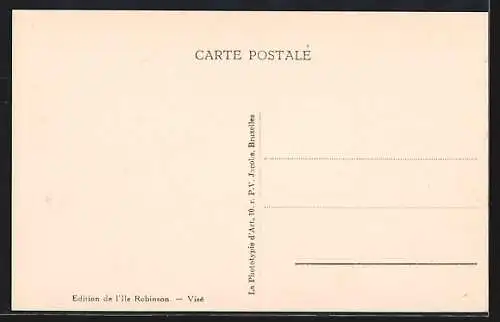 AK Visé, Robinson-Plage, Vue générale et arrivée des Bateaux-Mouches prise du Pont