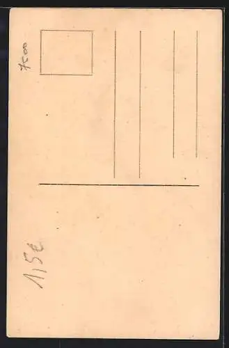 AK Tournai, La Cathédrale, vue de la Place des Acacias